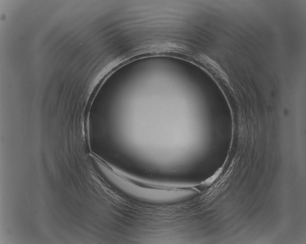 X0000067951226200605041817