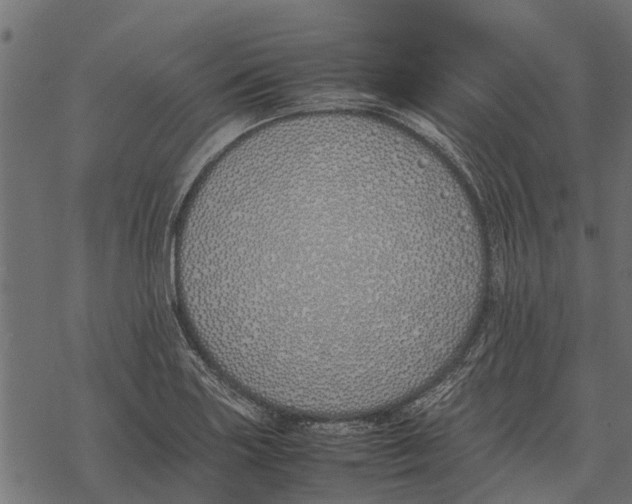 X0000067951227200605041817