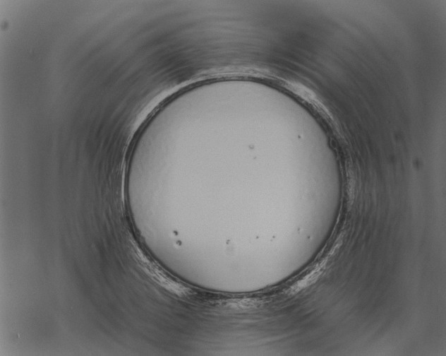 X0000067951228200605041817