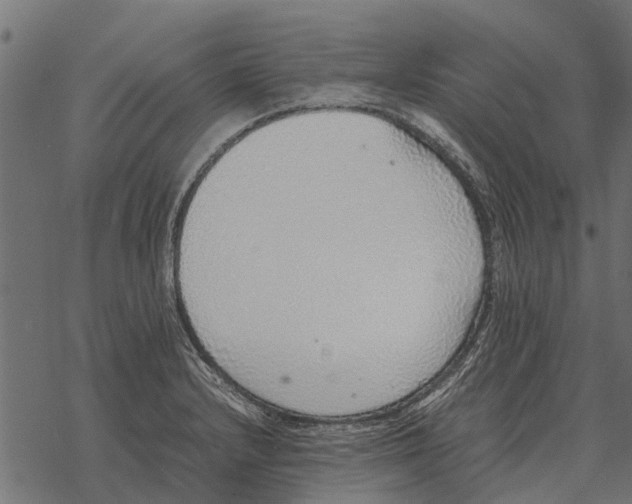 X0000067951232200605041817