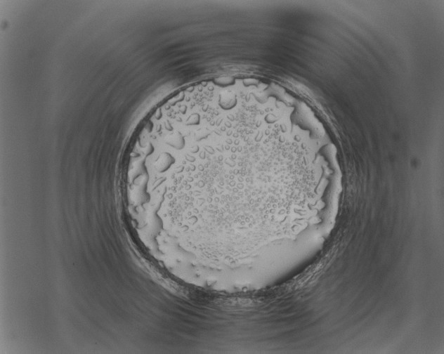 X0000067951235200605041817