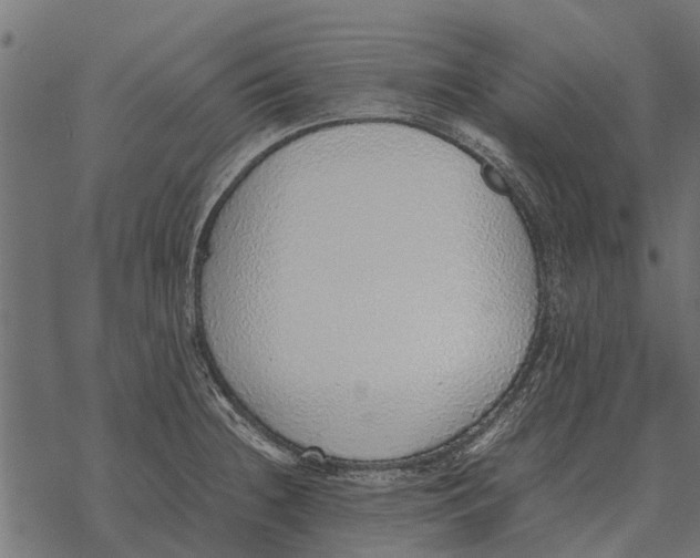 X0000067951236200605041817