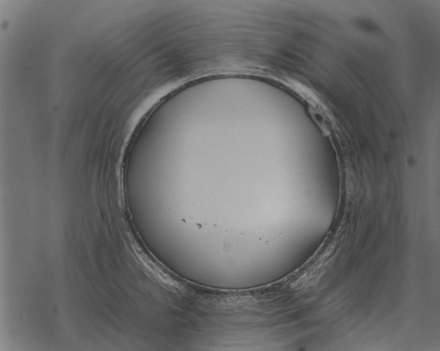 X0000067951238200605041817