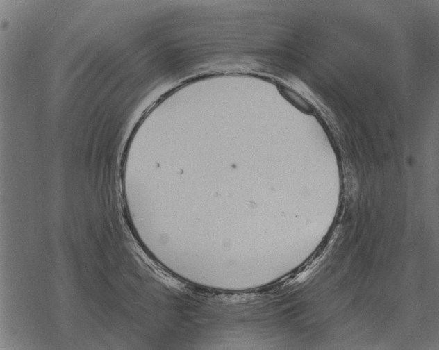 X0000067951240200605041817