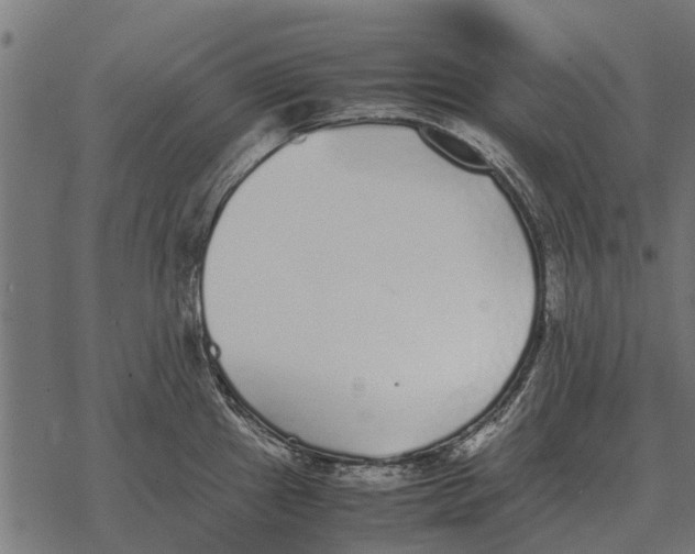 X0000067951241200605041817