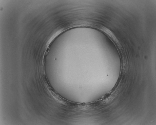 X0000067951242200605041817