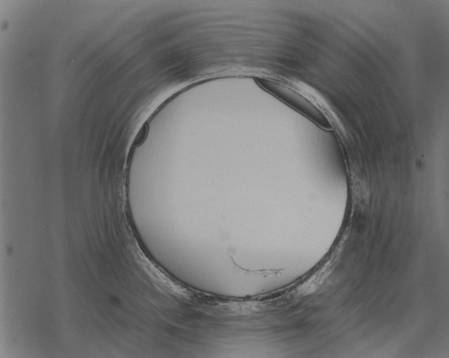 X0000067951244200605041817