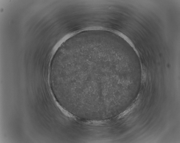 X0000067951245200605041818