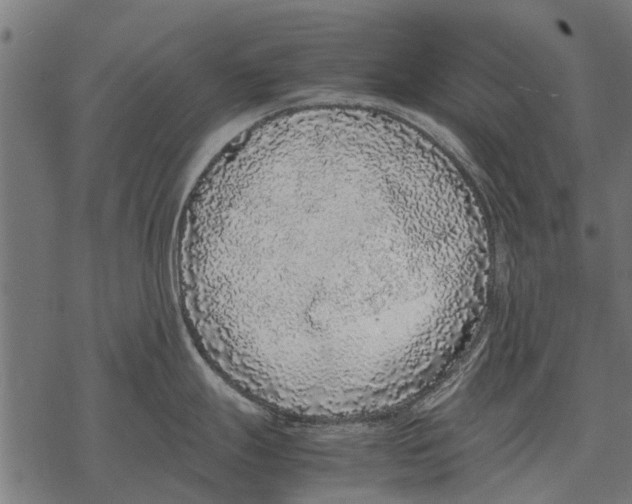 X0000067951247200605041818