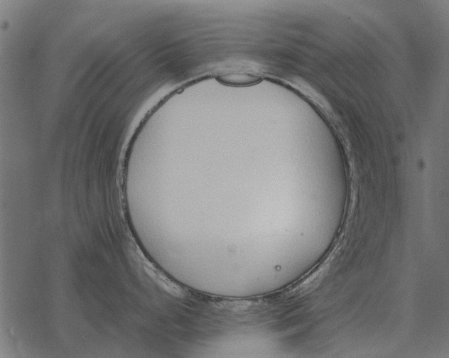 X0000067951248200605041818