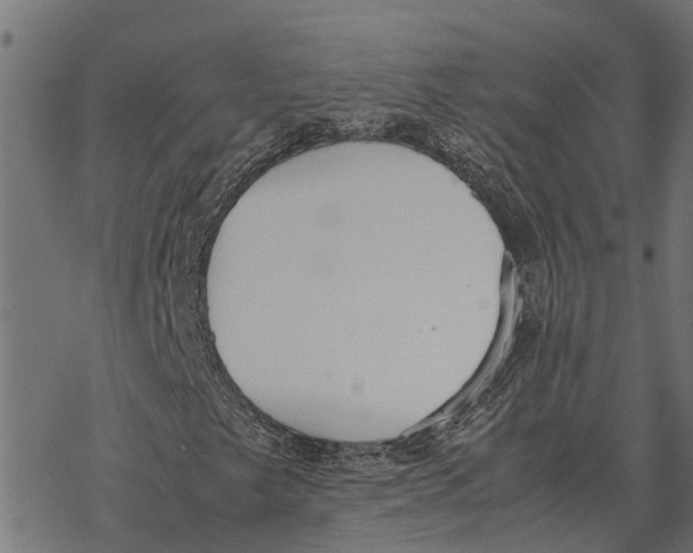 X0000067951249200605041817