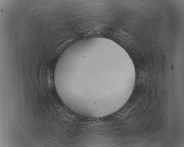 X0000067951250200605041817