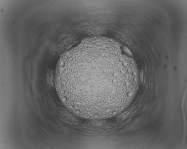 X0000067951251200605041817