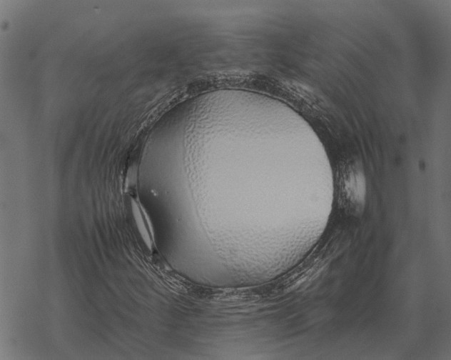 X0000067951252200605041817