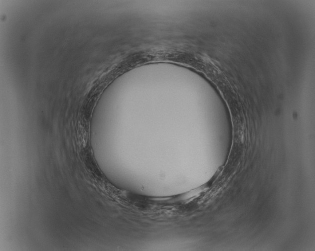 X0000067951253200605041817