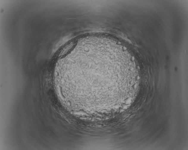 X0000067951255200605041817