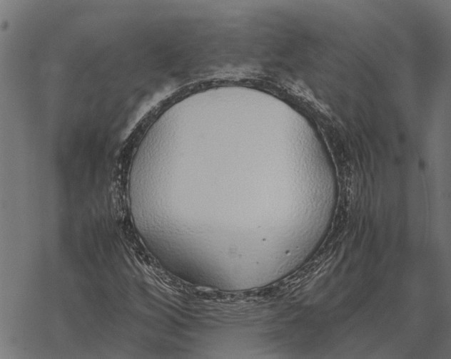 X0000067951256200605041817