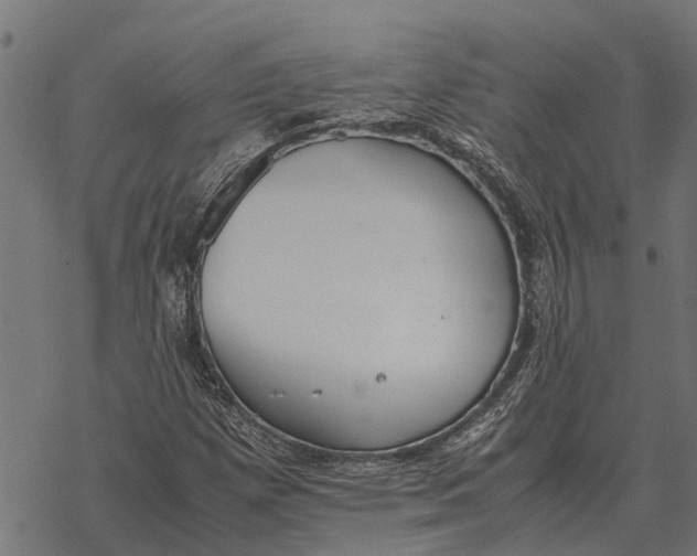 X0000067951257200605041817