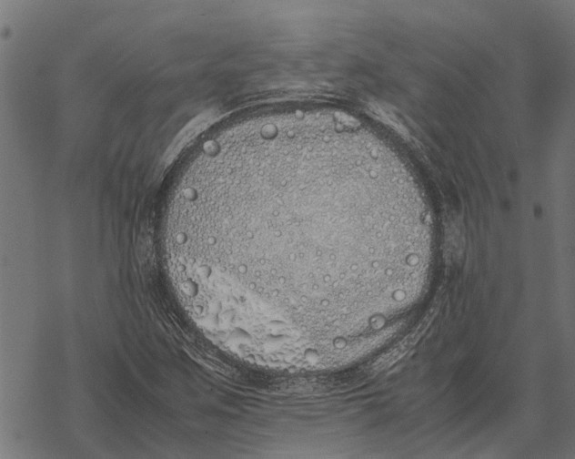 X0000067951259200605041817