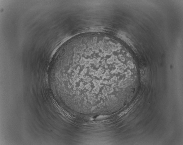 X0000067951260200605041817