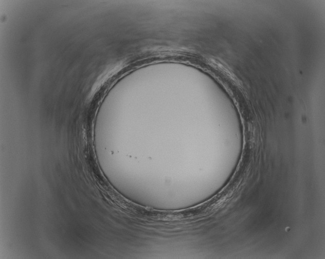 X0000067951261200605041817