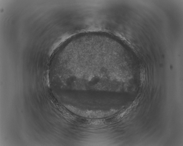 X0000067951262200605041817