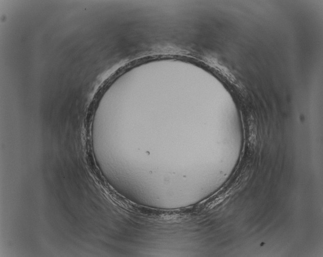 X0000067951264200605041817