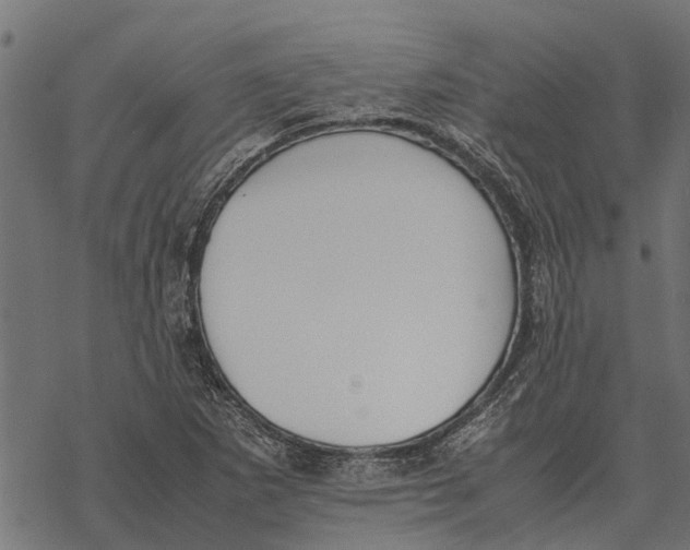 X0000067951265200605041817