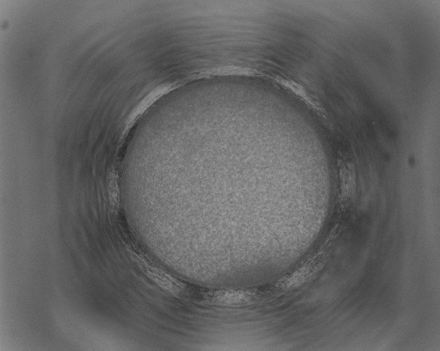 X0000067951266200605041816