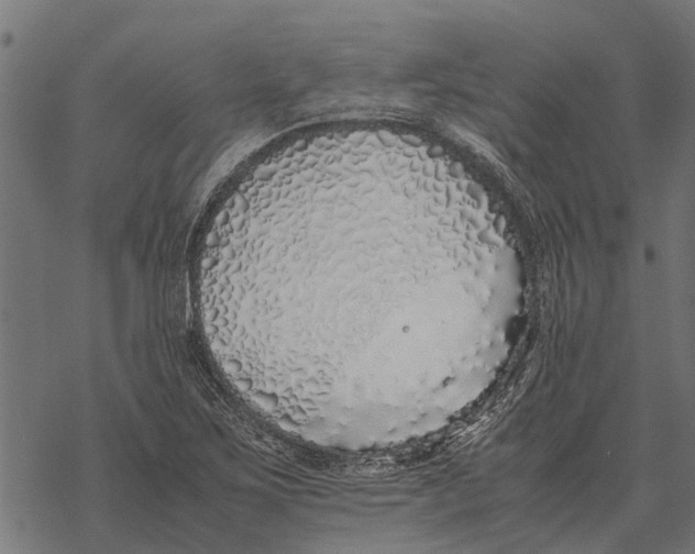 X0000067951267200605041816