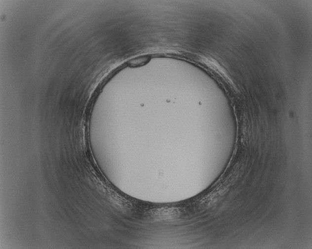 X0000067951268200605041816