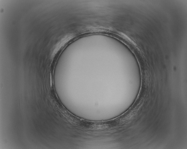 X0000067951269200605041816