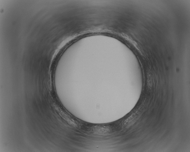 X0000067951270200605041816