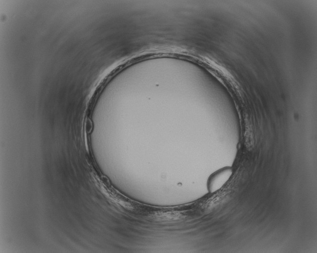 X0000067951272200605041816