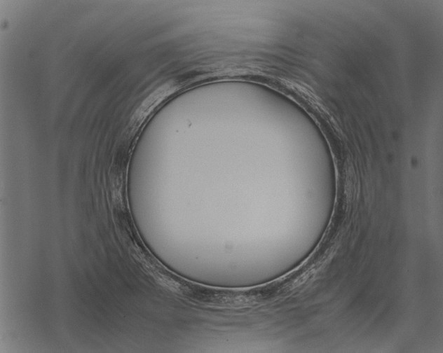 X0000067951273200605041816