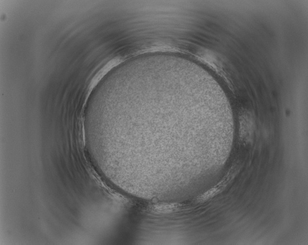 X0000067951274200605041816