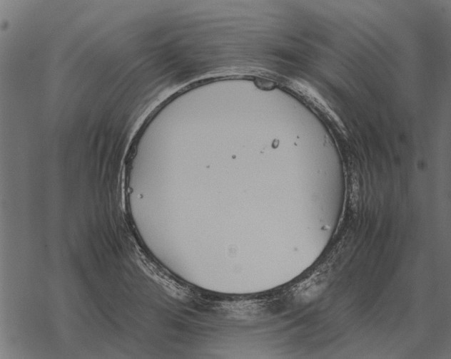 X0000067951276200605041816