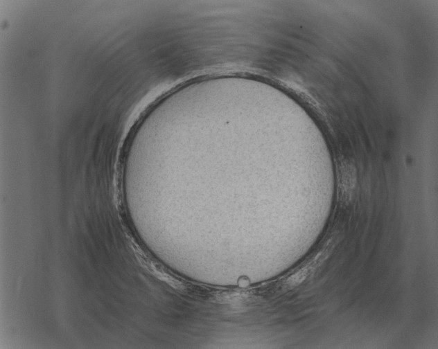 X0000067951278200605041816