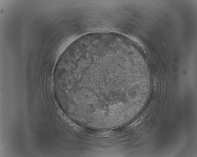 X0000067951279200605041816