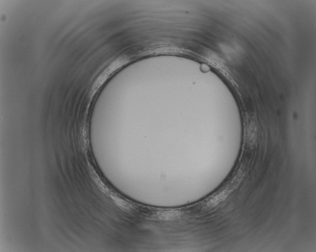 X0000067951282200605041816