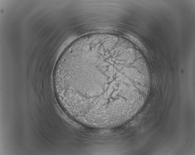 X0000067951283200605041816