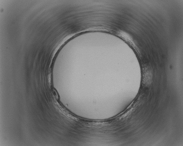 X0000067951284200605041816