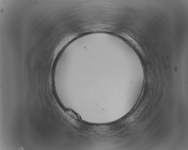 X0000067951285200605041816