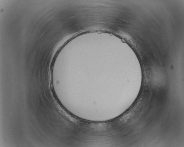 X0000067951286200605041816