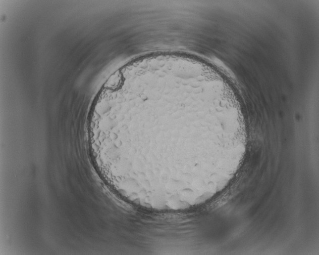 X0000067951287200605041816