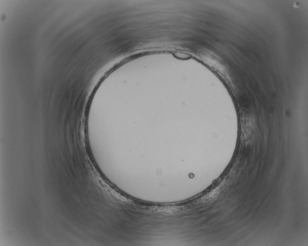 X0000067951288200605041816