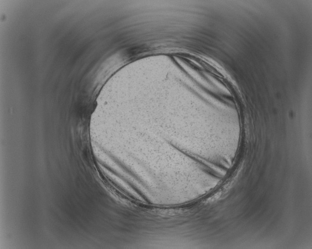 X0000067951289200605041816