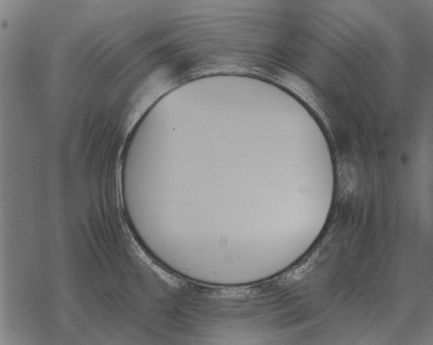 X0000067951290200605041816