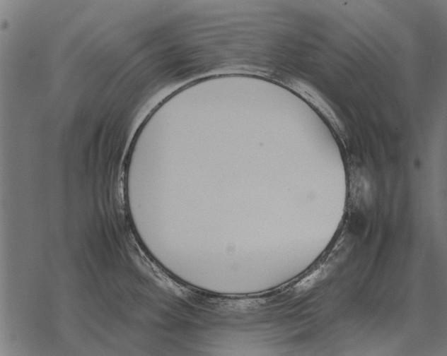 X0000067951292200605041816