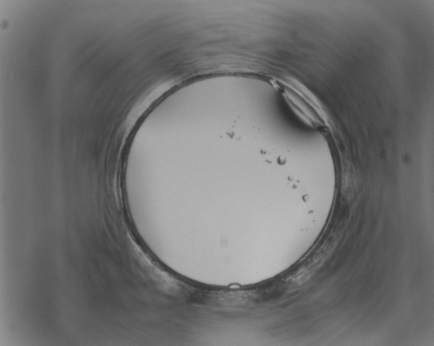 X0000067951293200605041816